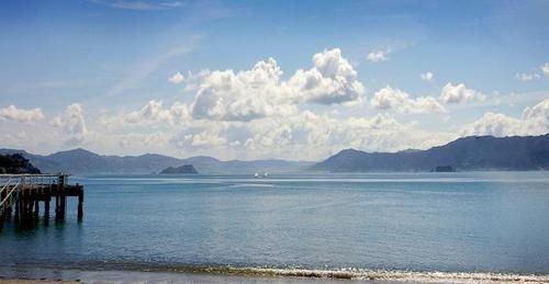 Beachfront Wellington Bed And Breakfast Extérieur photo